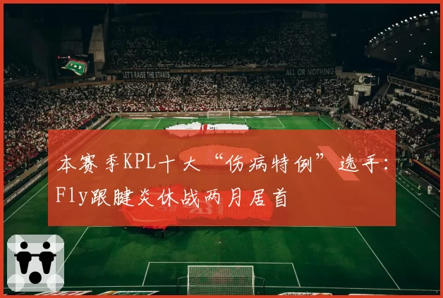 本赛季KPL十大“伤病特例”选手：Fly跟腱炎休战两月居首